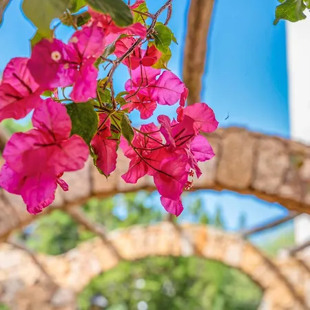 Villa Lussuosa Dimora Vista Mare Con Piscina E A 300 Mt